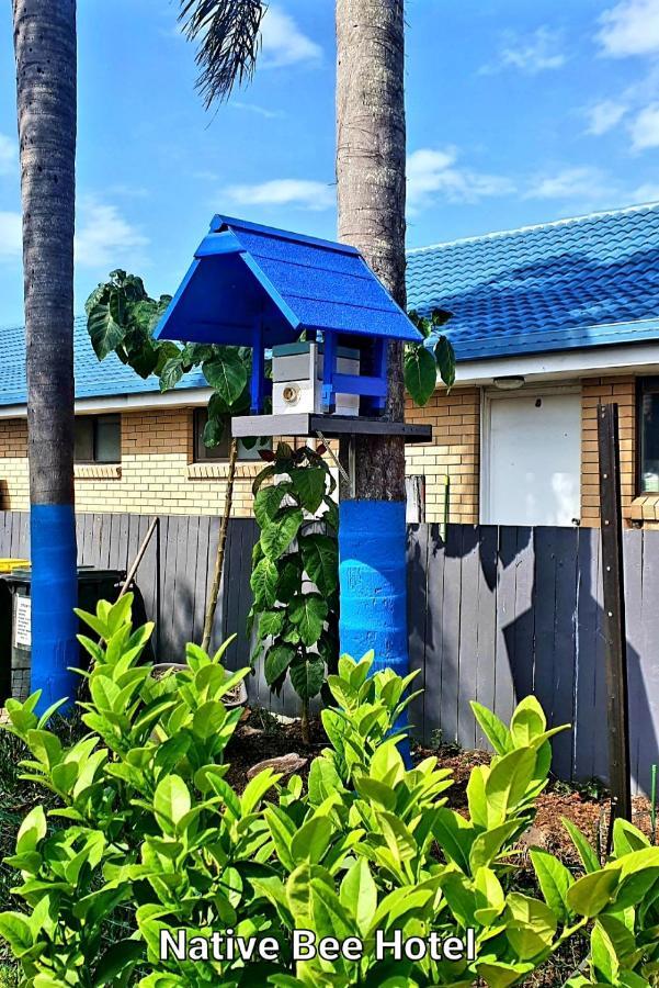 City Lights Motel Tweed Heads Eksteriør bilde